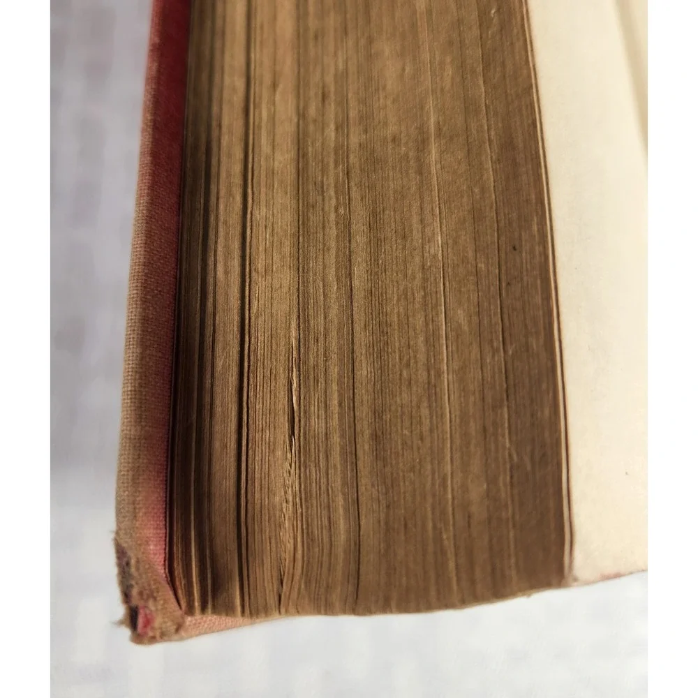 The Innocents Abroad  New Pilgrim's Progress by Mark Twain  1899